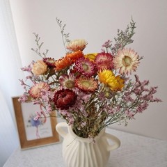 20 PCS Natural Dried Daisy Flowers Bouquet – Multicolor Dried Daisy