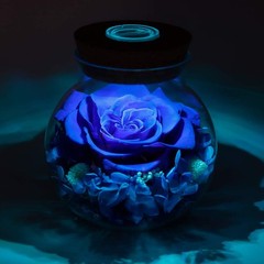 Preserved Real Roses with Colorful Mood Light Wishing Bottle, Eternal Roseᦁ