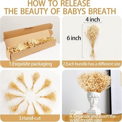 50Pcs Mini Dried Baby’s Breath Flowers, 6” Natural Ivory White Flowers
