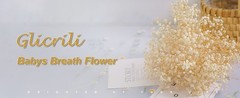 4000+ Dried Babys Breath Flowers Bulk – 17.2″ Ivory White Dried Flowers