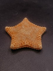 Culcita novaeguineae pillow star fish. 62mm starfish sea shell #17239