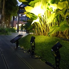 MINI 50X Twin Solar-Powered Cast Aluminium Warm White LED Spotlight 60-100 Lu…