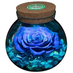 Preserved Real Roses with Colorful Mood Light Wishing Bottle, Eternal Roseᦁ
