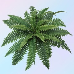 Larksilk Large Artificial Fern Plant 28 in Silk UV Resistant Indoor Outdoor