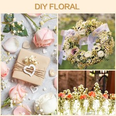 50Pcs Mini Dried Baby’s Breath Flowers, 6” Natural Ivory White Flowers