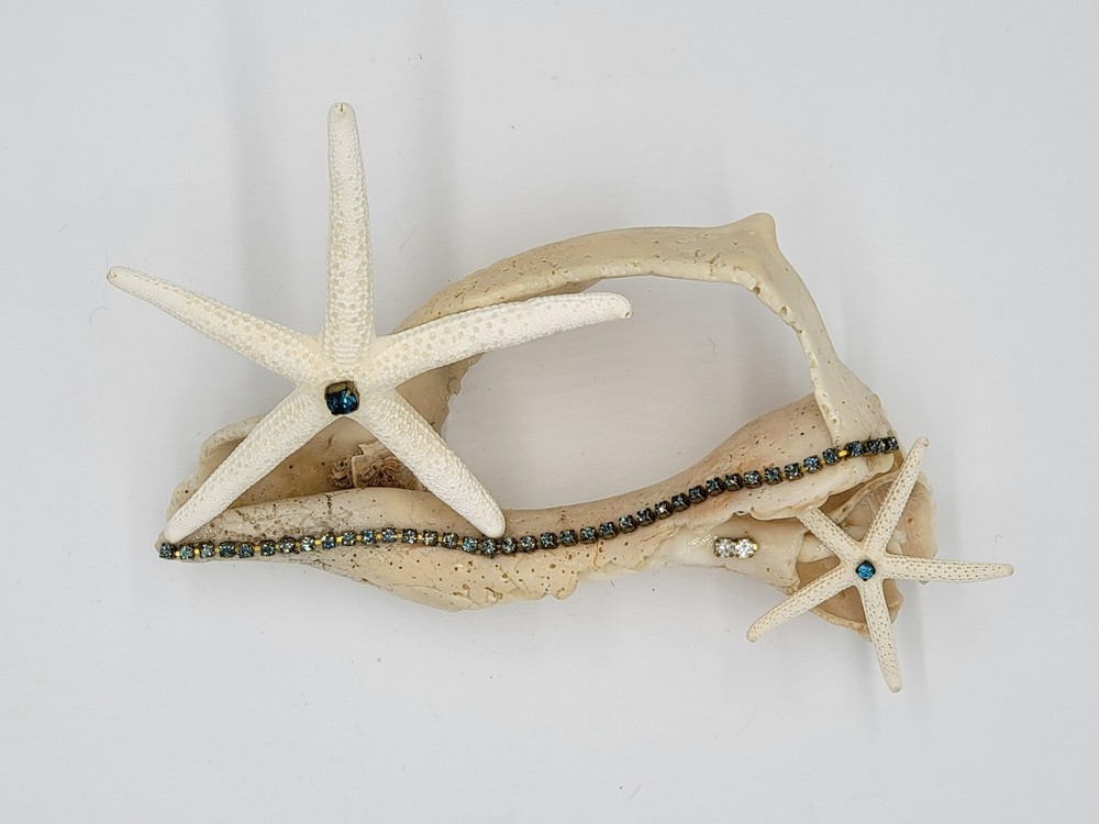 Decorated Exotic Seashell Glamorous Beach Decor Great Gift Beach Wedding