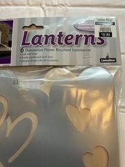 Paper Lantern Bags, Outdoor Wedding Decor, Bridal Party, Anniversary, 6 Pack