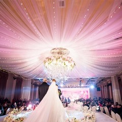 10M Sheer Organza Fabric Drape Voile Swags Wedding Party Decor Not Hemmed