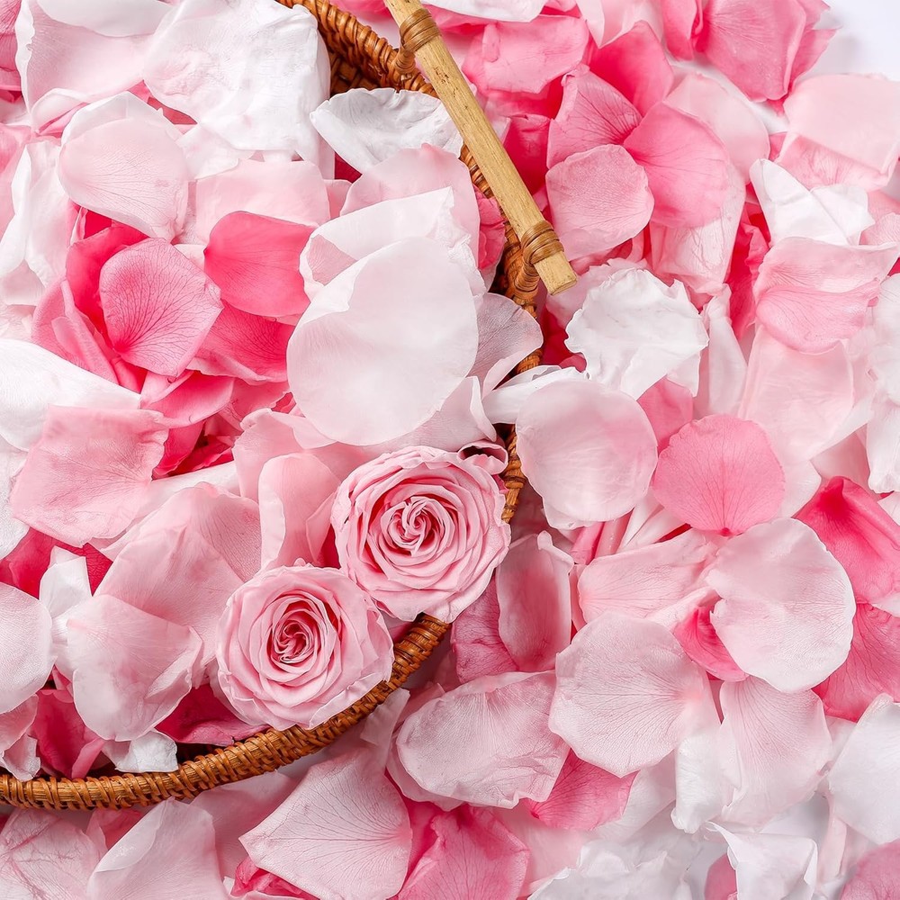 300 PCS Real Pink White Rose Flower Petals Confetti for Wedding Flower