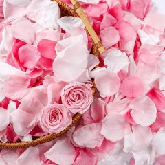 300 PCS Real Pink White Rose Flower Petals Confetti for Wedding Flower