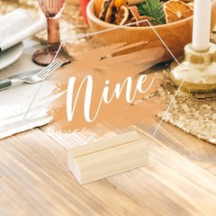 Clear Hexagon Acrylic Sign with Wood Stand-10 Pack 5.5 Inch Blank Hexagon Tab…