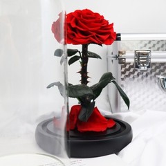 Eternal Rose in Glass Dome – Valentine’s Day Gift