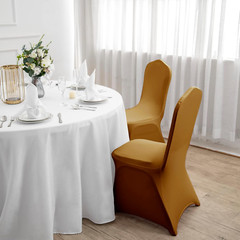 Spandex Chair Covers, 25PCS, Washable Protector for Living Room, Party, Banquet,