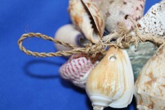 Seashell Wedding Tabletop Centerpiece Cluster of Natural Whole Seashells, G-04