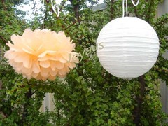 12x Peach pom poms white lanterns wedding birthday party events venue decoration