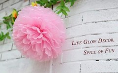 Pom Poms Tissue Paper Flowers Ball for Wedding Party Decoration 5 Pcs 10″ 12″