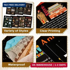 WATINC 7PCS Ancient Civilizations Poster Set, Social Studies Classroom Learning