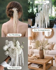 12PCS Dried Amaranthus Hanging Flowers – 23″ Ivory White Preserved Floral Ste…