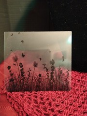 Clear Plastic Fairy Sheets for Crafting! 4 X 4 Inches!