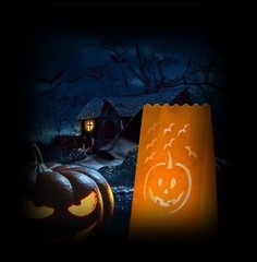Chicsonabudget 24 Pack Halloween Luminary Bags