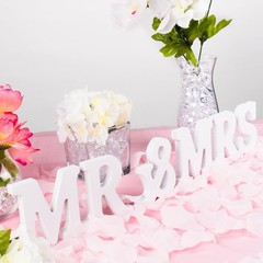 White Wooden Mr and Mrs Signs Wedding Present for Party Table Top Dinner Deco…