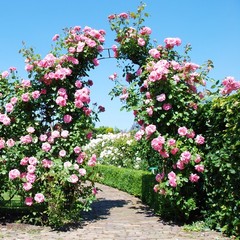 Metal Garden Arch 7.9 FT Backdrop Stand for Various Climbing Plants Party Black