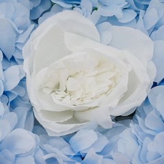 12PCS Artificial Flower Wall Panels White+Blue Dreamlike Flower Wall Backdrop