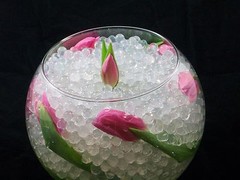 4oz Vase Filler Water Beads Pearls Pack Color Gel 4 Ounce Bag Makes 3 Gallons