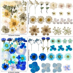 221PCS Real Dried Pred Flowers for Resin Craft, Dry Pring