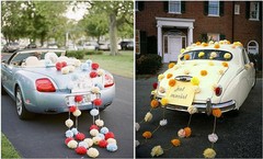 10PC Tissue Paper Pom Poms Flower Balls Wedding Decoration Party Baby Shower