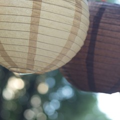 8 pcs ASSORTED Sizes Hanging Paper Lanterns Wedding Party Events Decorations