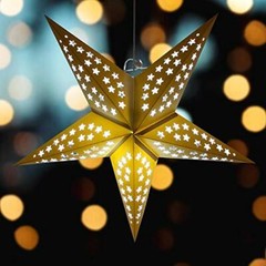 Quasimoon 24″ Solid White Cut-Out Paper Star Lantern, Hanging Decoration by P…