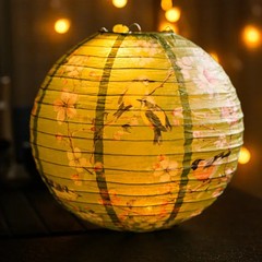 12Inch Printed Flower Round Chinese Paper Lanterns Birthday Wedding Decor Craft