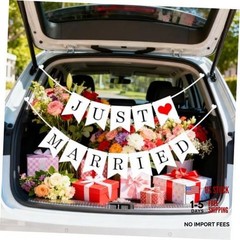 Just Married Car Decorations – Car Wedding Decorations – Just Married Automotive