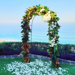 7.8Ft Arch Metal Garden Wedding Arch Garden Arbor Trellis For Climbing Plants