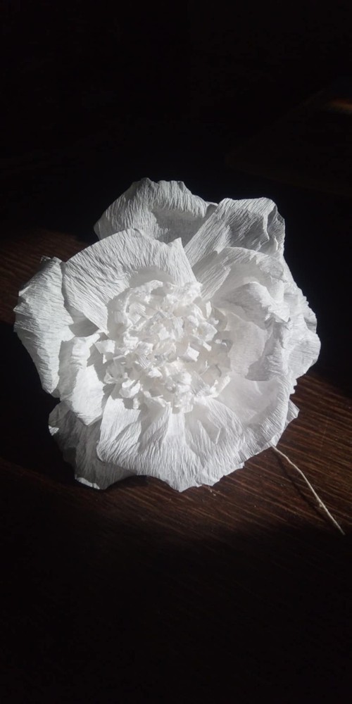 30 x Large Crepe Roses Roses with Wire; 12cm Wedding Party DECORATION ELITETNO