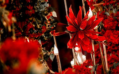 Giant Foam Flower Wedding Backdrop Aisle Decor
