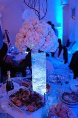2 (10) LED WHITE SUBMERSIBLE Wedding Light Eiffel Tower Vase Base Remote Control