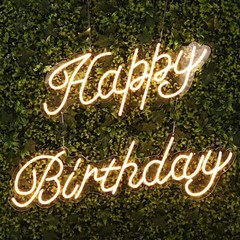 32″ Warm White Happy Birthday Neon Sign LED WALL LIGHTS Party Events Decorations