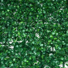 12 Pack Artificial Boxwood Wall Hedge Mat PE Privacy Fence Grass Panels 40*60cm