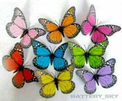 1×3D Colorful Artificial Butterflies Dummy Craft Wedding Party Floral Decor Gift