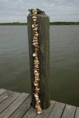 Beach Wedding Natural Ocean Decor Driftwood Garland, Handcrafted, 5 feet, Nordic