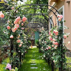 Metal Garden Arch Arbor Garden Archway for Wedding Bridal Party Festival Events