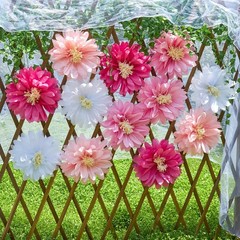 Daisy Tissue Paper Pom Poms, Wildflower Party Decorations, 14 inches, pink
