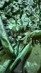 Round Green Leaf Drape Backdrop Enchanted Forest Fairy Wedding Event Deco 10 Ft