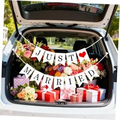 Just Married Car Decorations – Car Wedding Decorations – Just Married Automotive