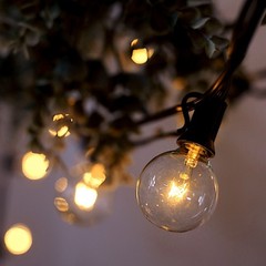 25 ft Warm White 28 Incandescent Bulbs String Lights Garland Wedding Decorations