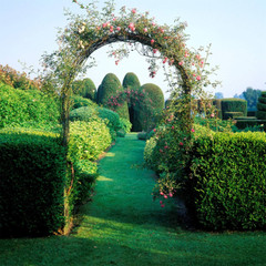 Heavy Duty Metal Garden Arch Rose Archway Pergola Arbour Climbing Plants Trellis