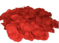 Proposal Package Marry Me Letters 1000 Rose Petals 50 Candles& 2 Champagne Glass