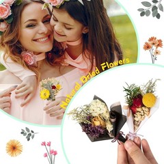 10 Pcs Dried Flowers for Crafts, Mini Dried Flowers Bouquet Bulk for Vase